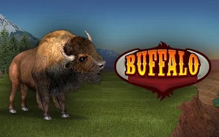 Buffalo Bingo