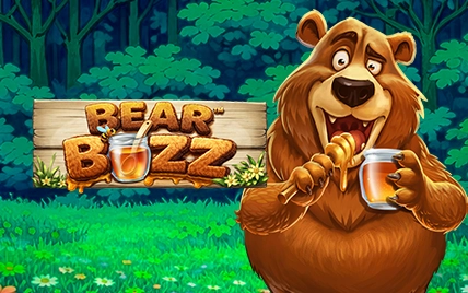 Bear Buzz